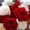 user5211290756300