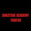 sun.academyfighter