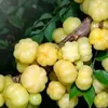 mamasansan_