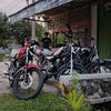 mas_fad135