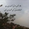 hafizhafiz7868