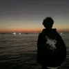a_e_r60