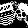 ariies persib