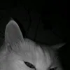 aaisal__