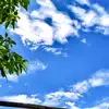 akun.26251