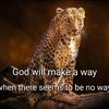 mpho_ttt57