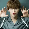 sugar_sentence