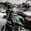 cespal_135cc