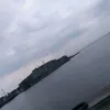 samnido71