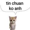 tm.yr