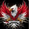 user5911355036433