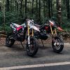 motor._.crf2