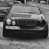 mamedov_0505