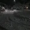annika_0616