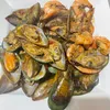 wahidaabdalla2