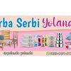 yolanda7149
