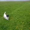 alan_z2022