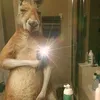 darhez_20