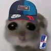 el_hamster_perez11