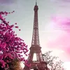 nidal___elmeri