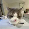 thenhphuong2811