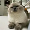 mimihehe05