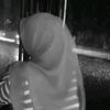 iraa_mariposa4