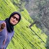 widathea83_