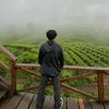 ikky_astian