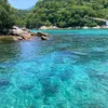 Translado Ilha Grande