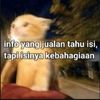 aksjshshj