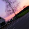 saly_0547