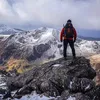 thewelshmountaingoat
