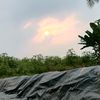 mr_dikaaa01