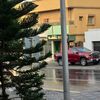 bob_1251