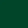that_robin_hood_wannabe
