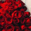 jb_0231
