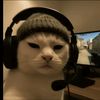 xrylnyp