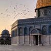 retalmohammed857