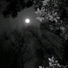 jjualsn38w7