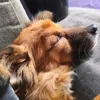 pqpatomic_