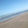 rortizmu