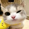 bagir.ahhhhhhhhhhhhhhhhh