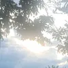najin._kaiyu
