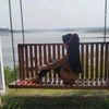 nafisa_nia23