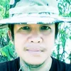pisit428