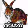 chupaaaa