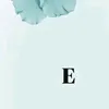 e.nice06