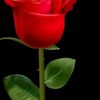 md.rohul.amin09