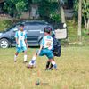 axll377